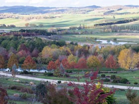 Mayfield Garden