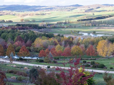Mayfield Garden