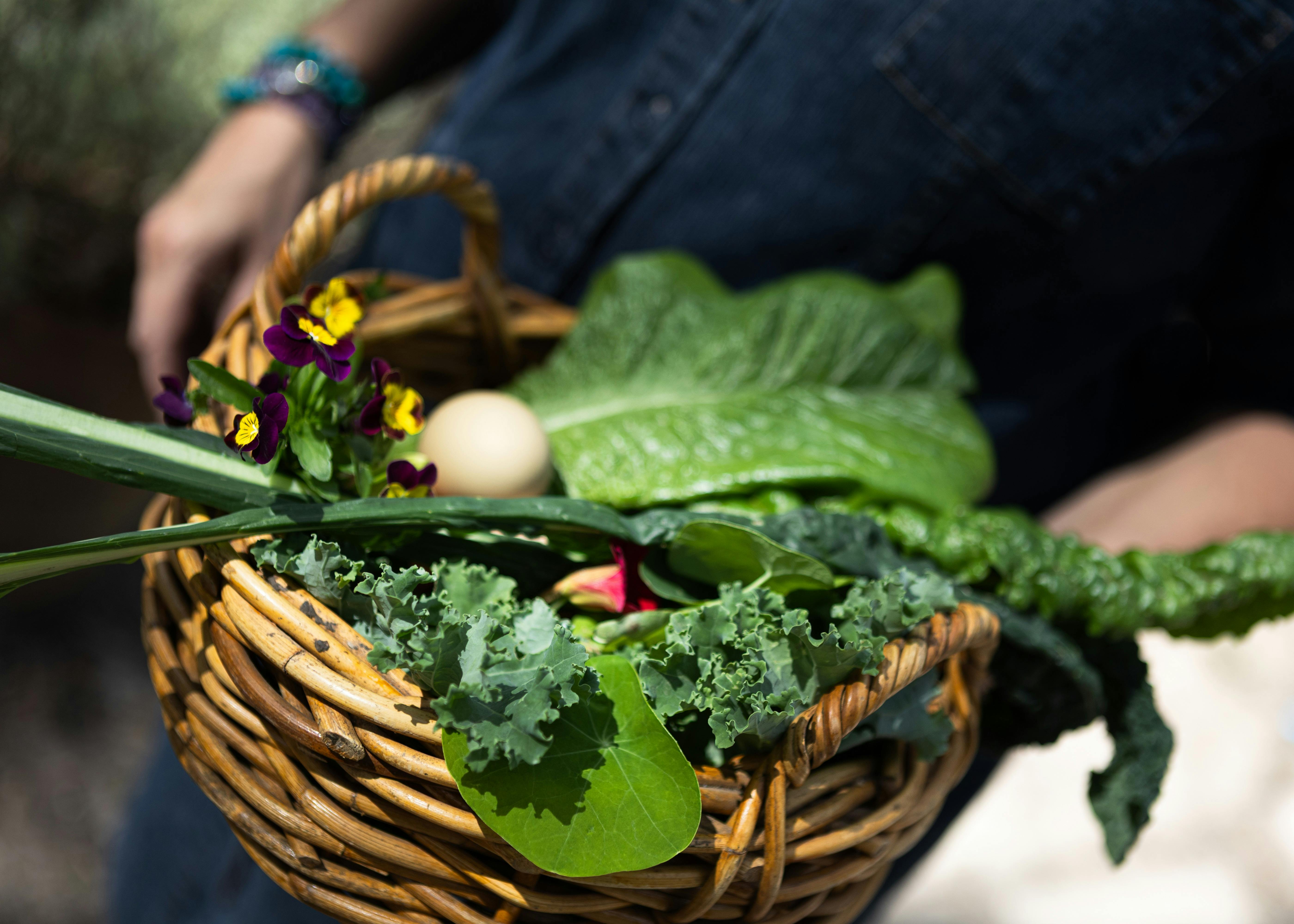 Seven Valleys Wild Food Harvest
