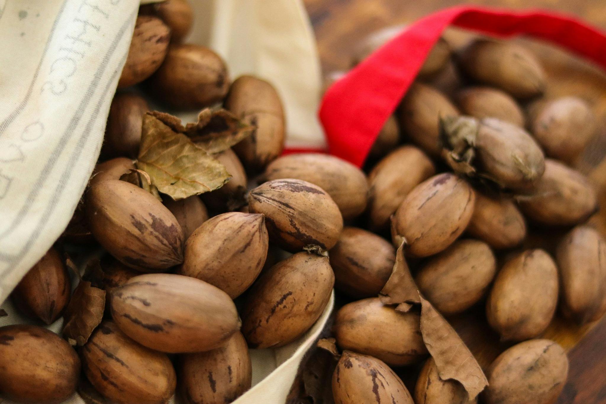 Pecan Picking Harvest Festival