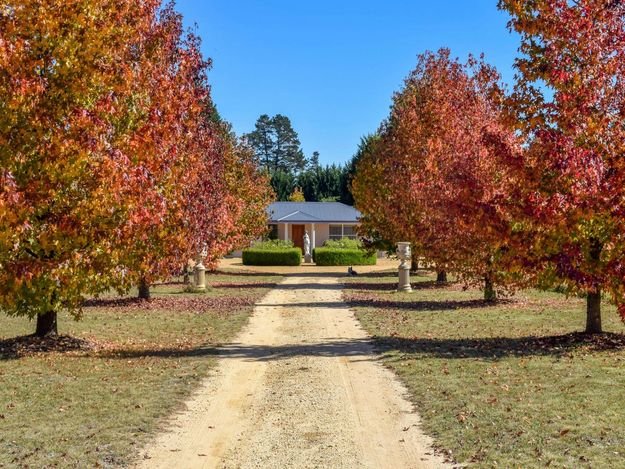 Downunder Farmstays QLD