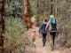 family of four walking