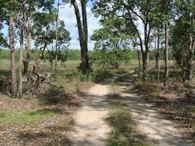 Enjoy the scenery on the cultural drive
