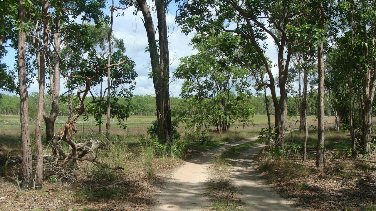 Enjoy the scenery on the cultural drive.