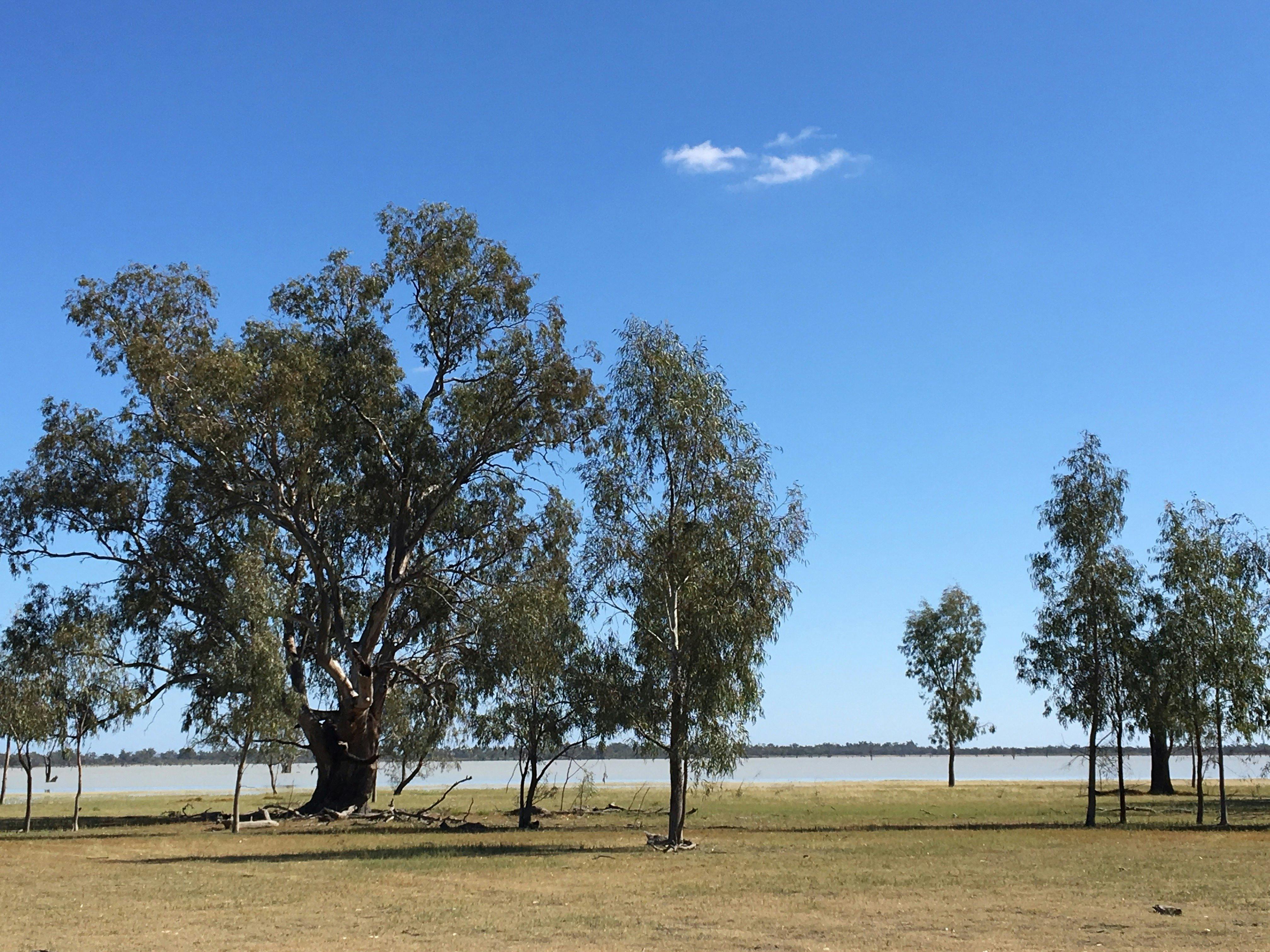 Enjoy a home cooked morning tea on the shores of Lake Walla Walla.
