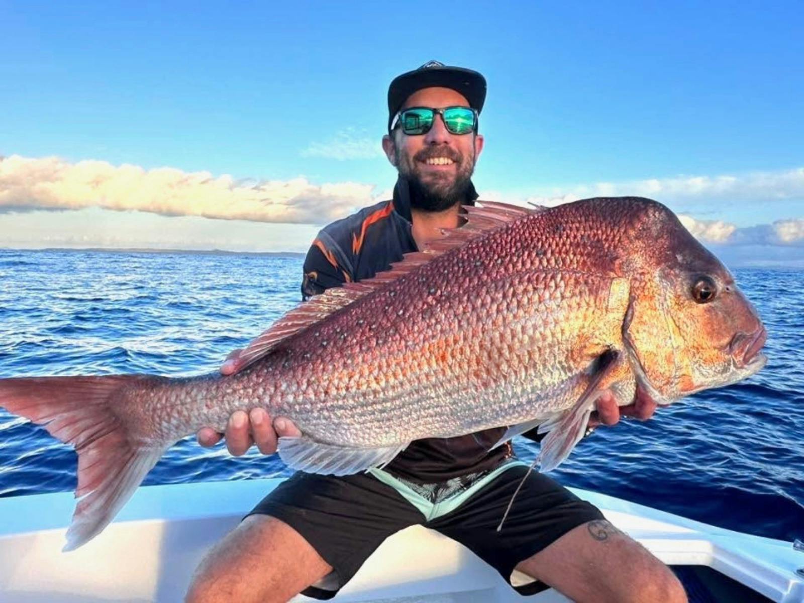 Samaki King of Kings Samaki King of Kings