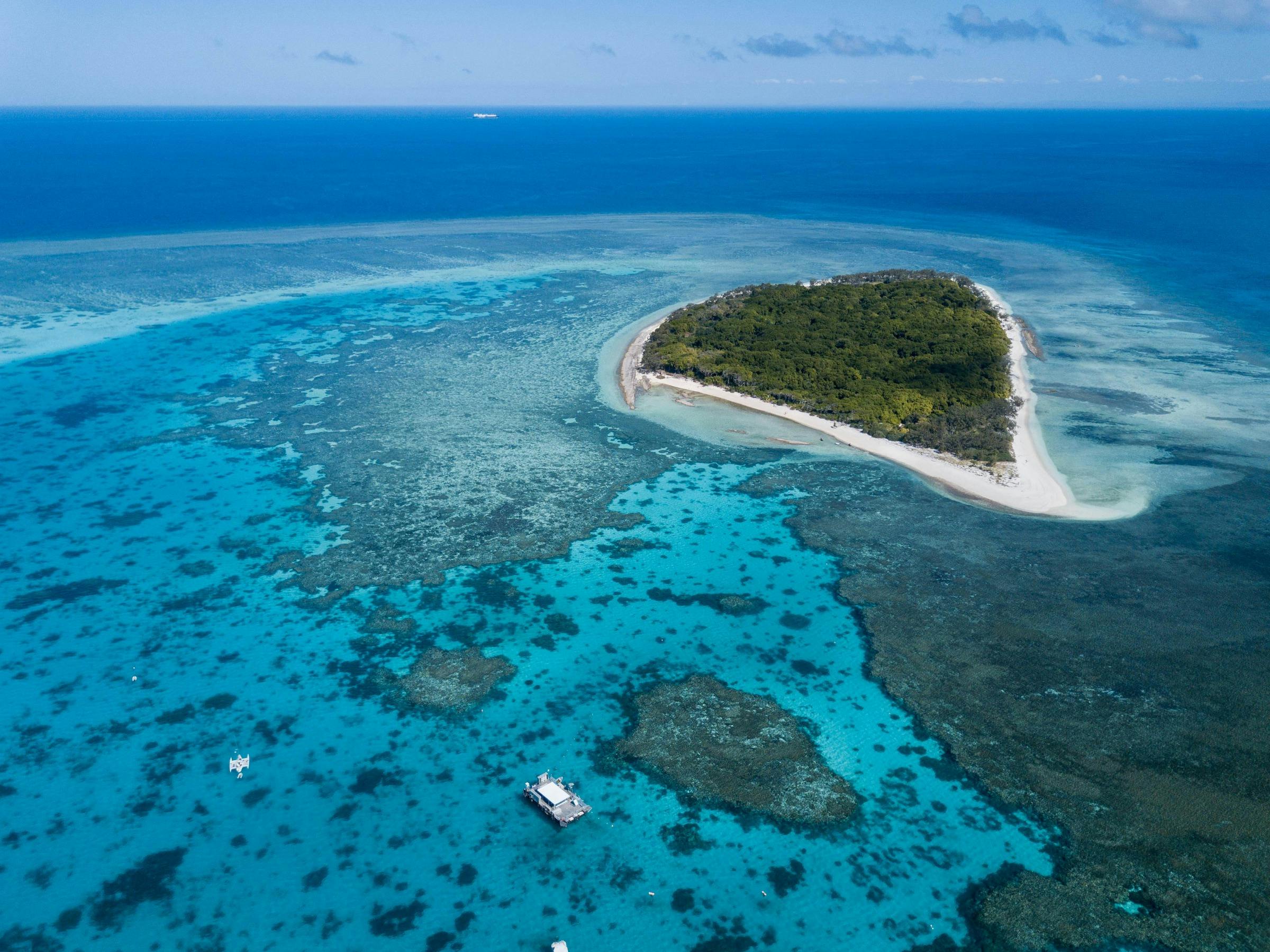 Aerial view of heart shaped Lady Musgrave Island