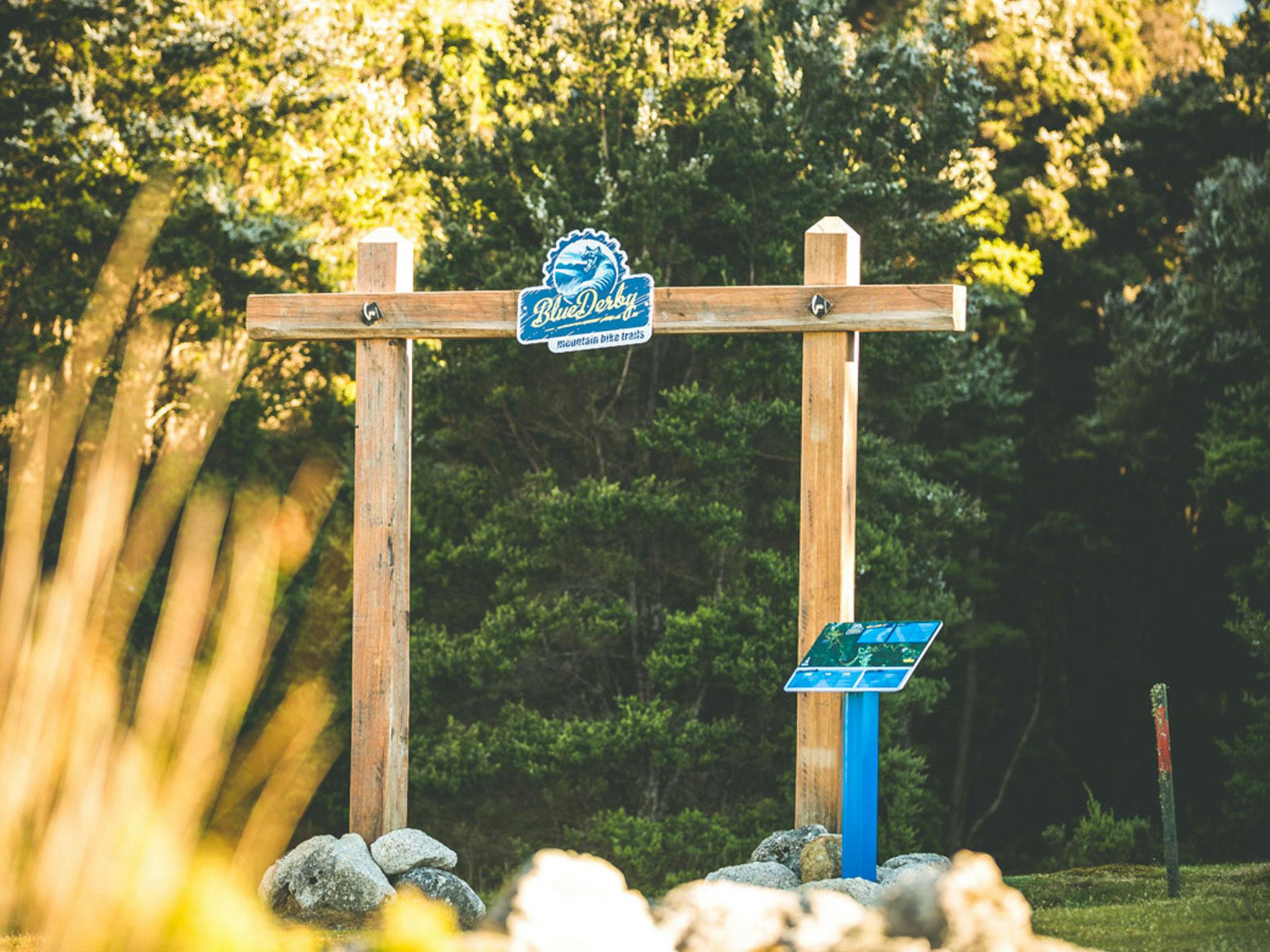 Blue Tier entry point