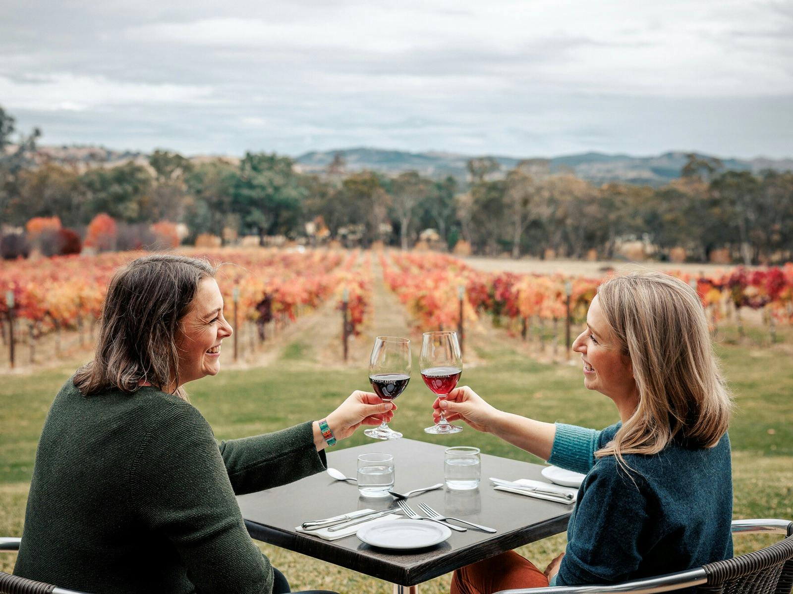 Two women at a table with red wine in glasses overlooking autumnal vines