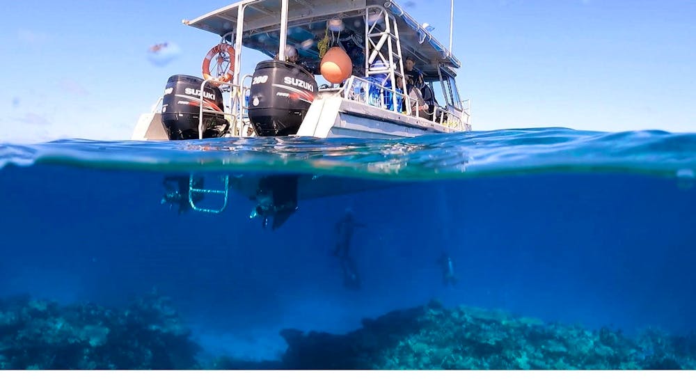 Remote Area Dive