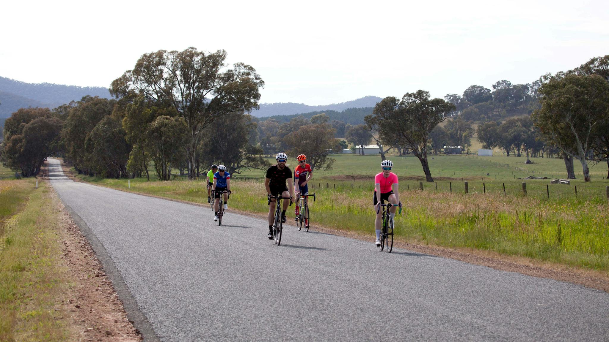 cyclists on road farming country side gum trees mountains sheds