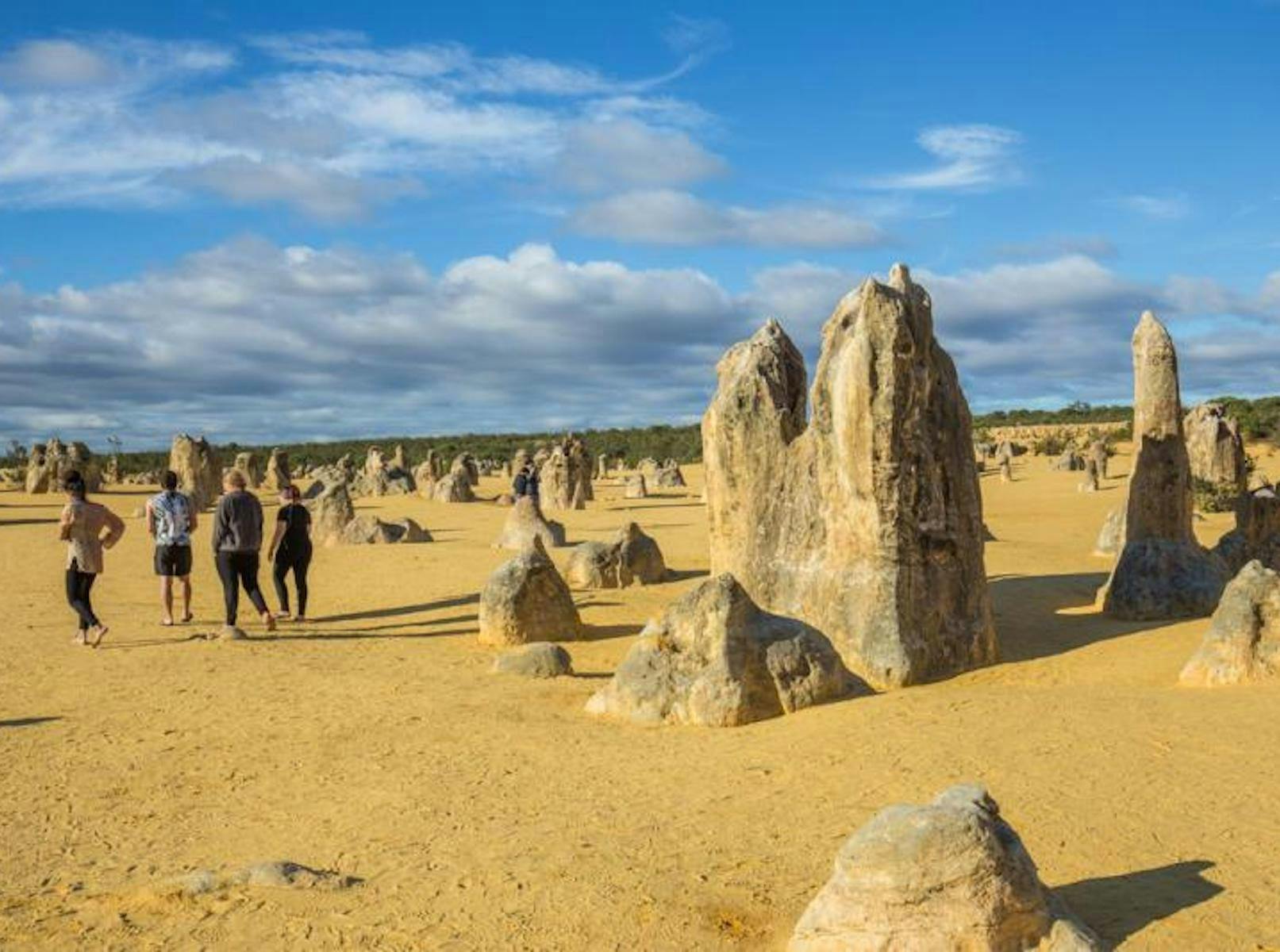 The Pinnacles Group Walk