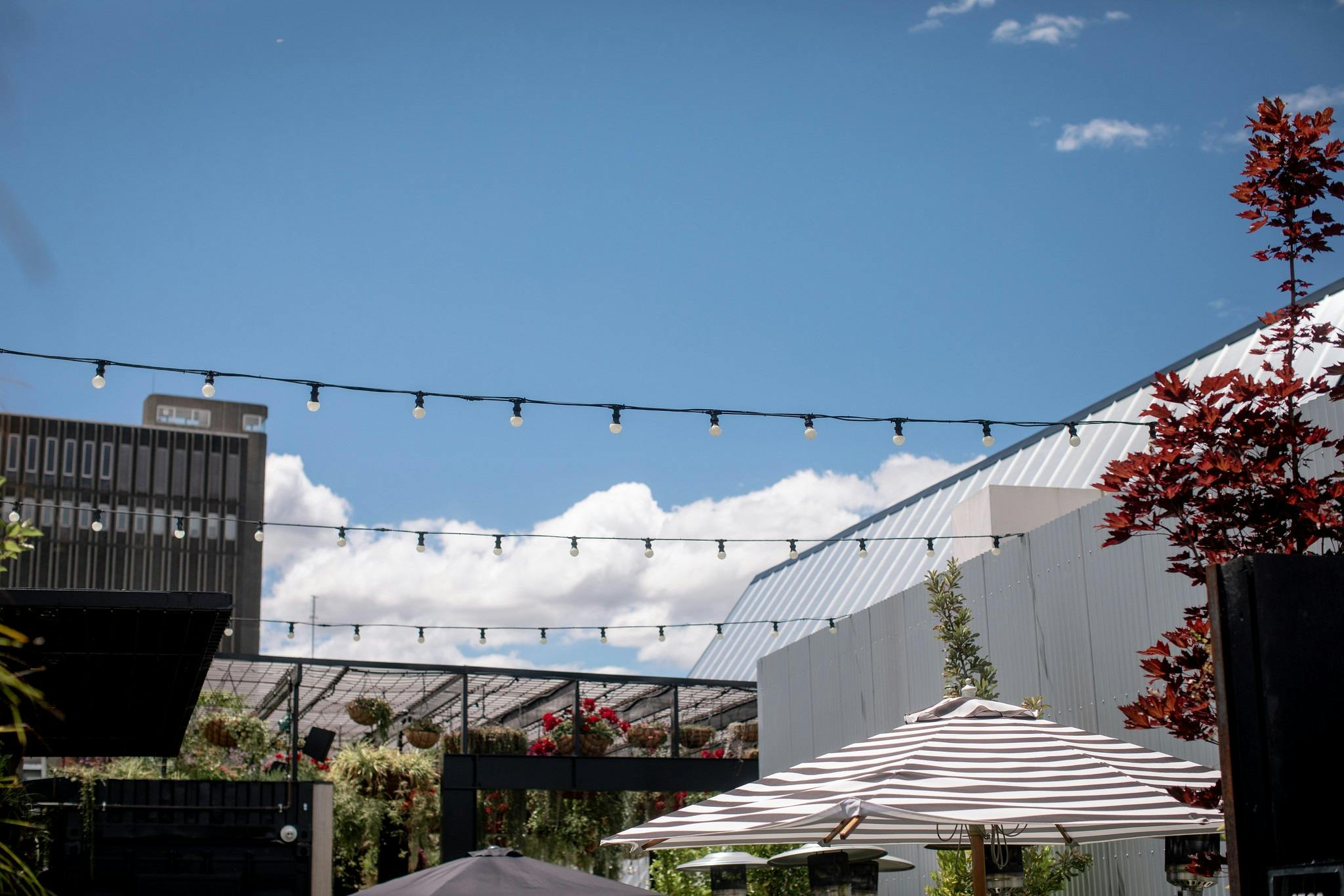 Hobart and Beyond In The Hanging Garden