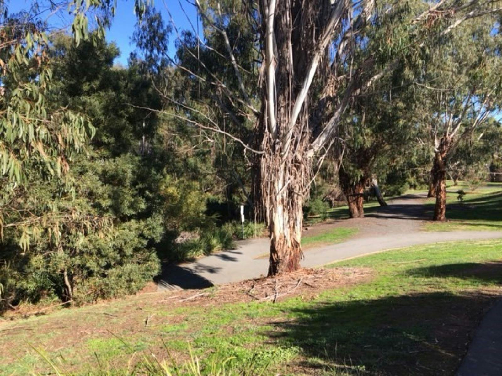 Botanic Reserve walking tracks