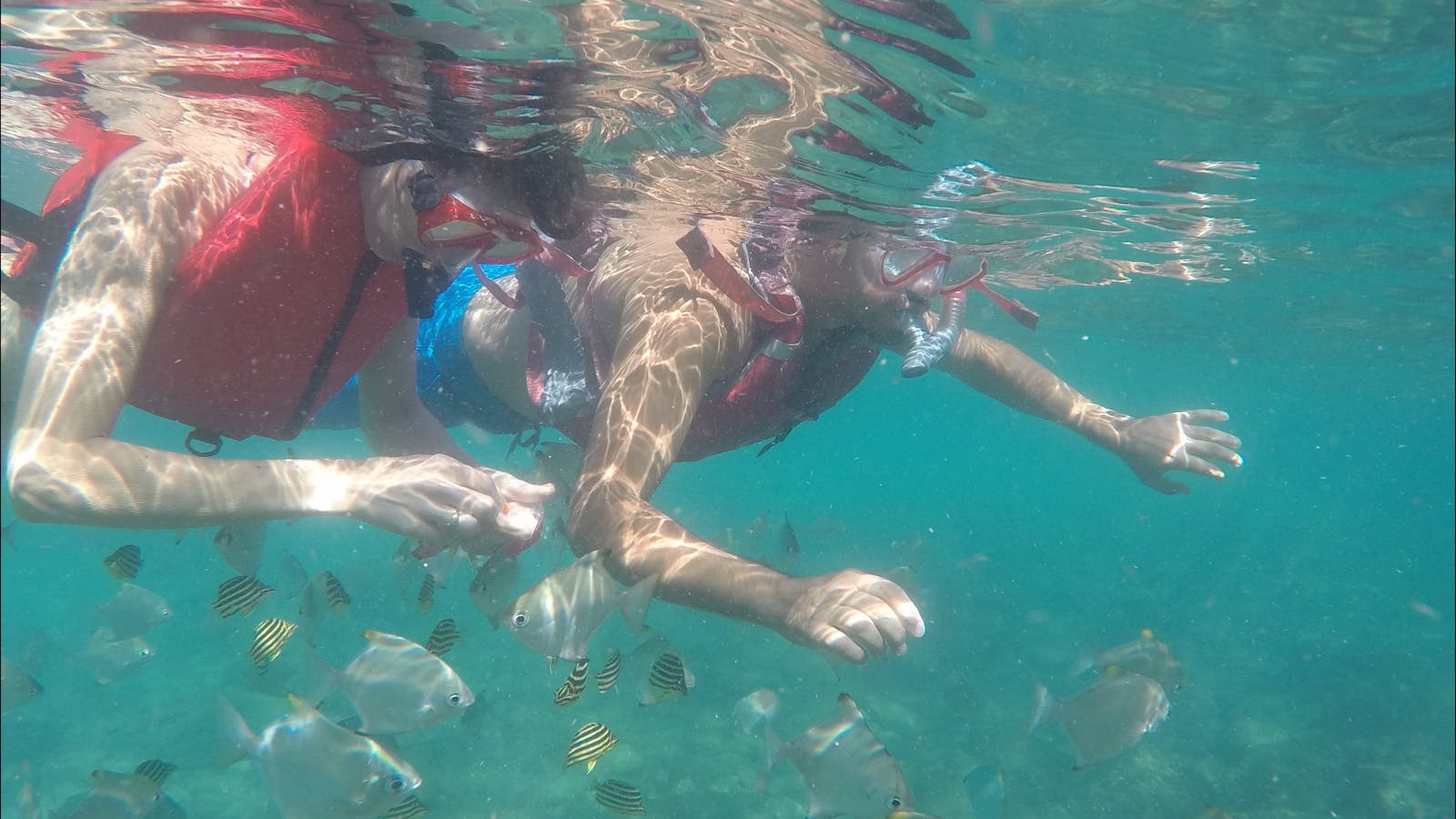 Australian Kayaking Adventures