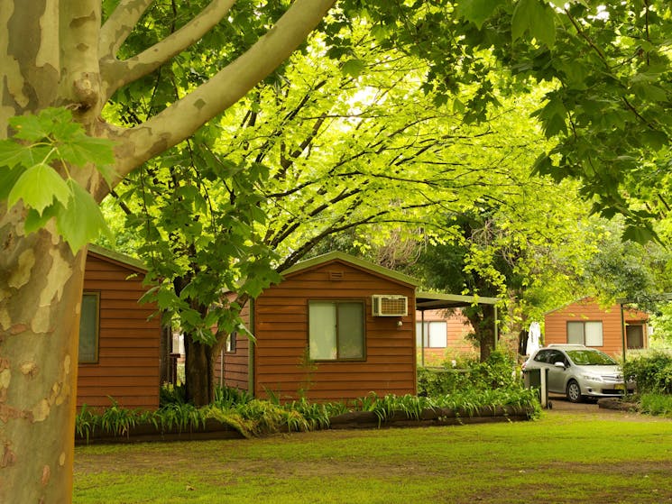 Mudgee Riverside Caravan Park - Cabin 2