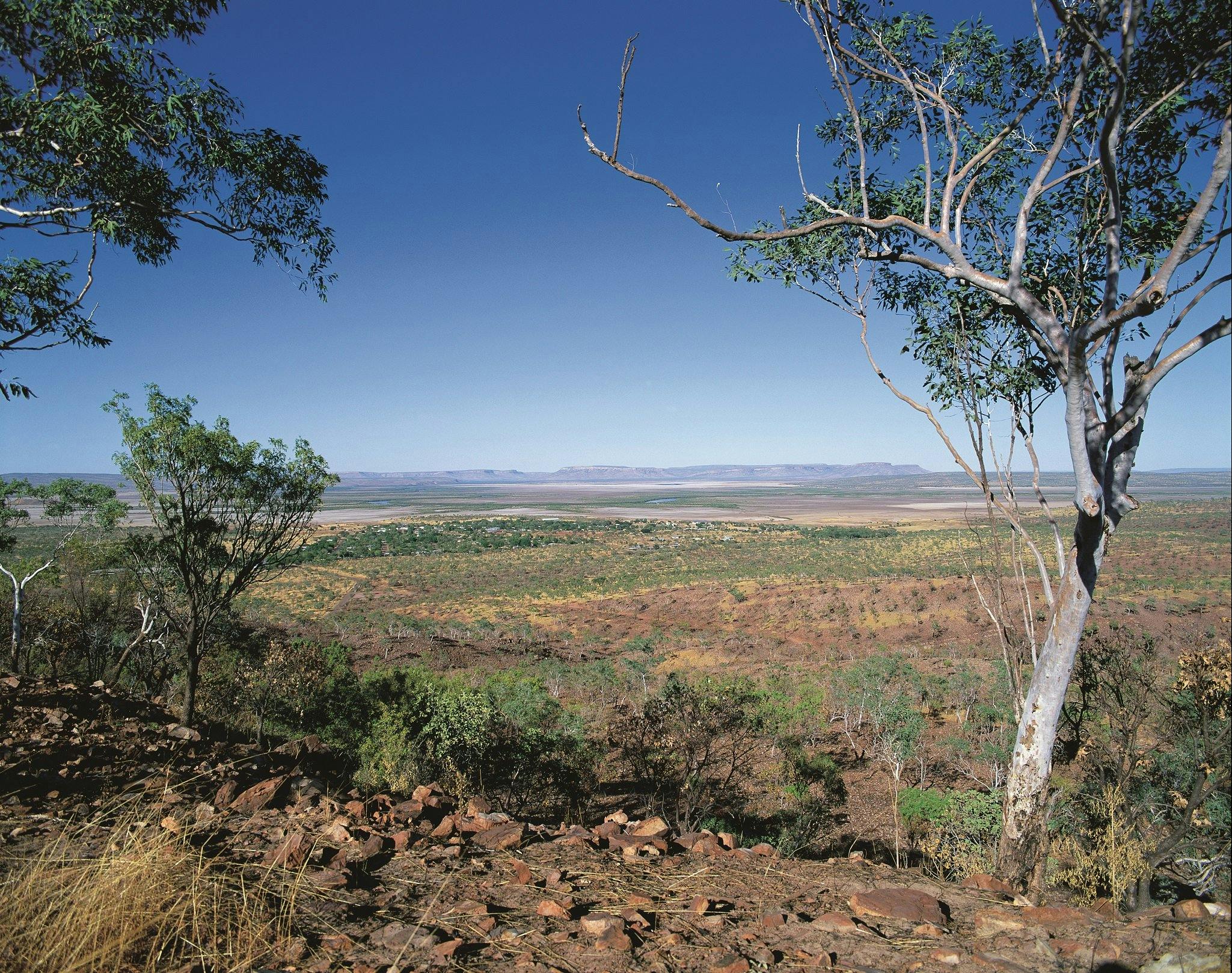 Five Rivers Lookout