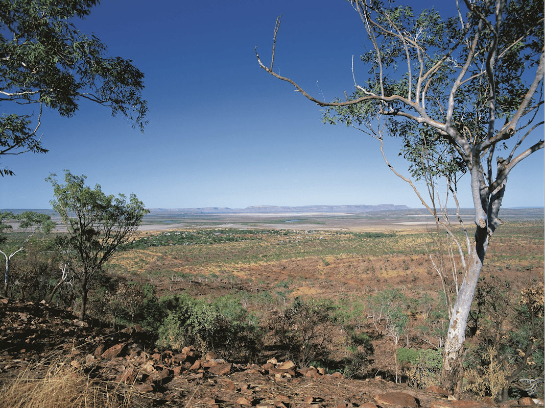 Five Rivers Lookout