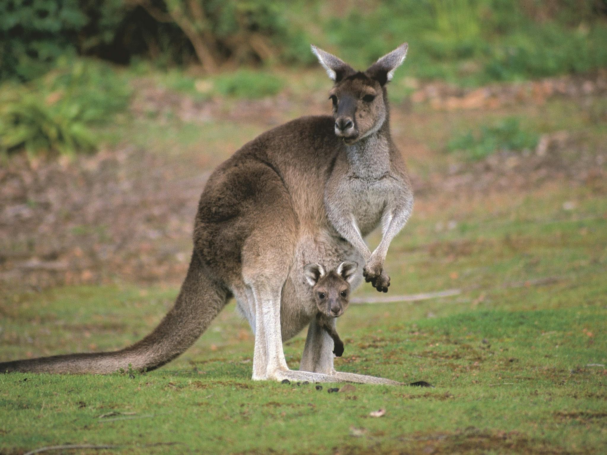 Donnelly River