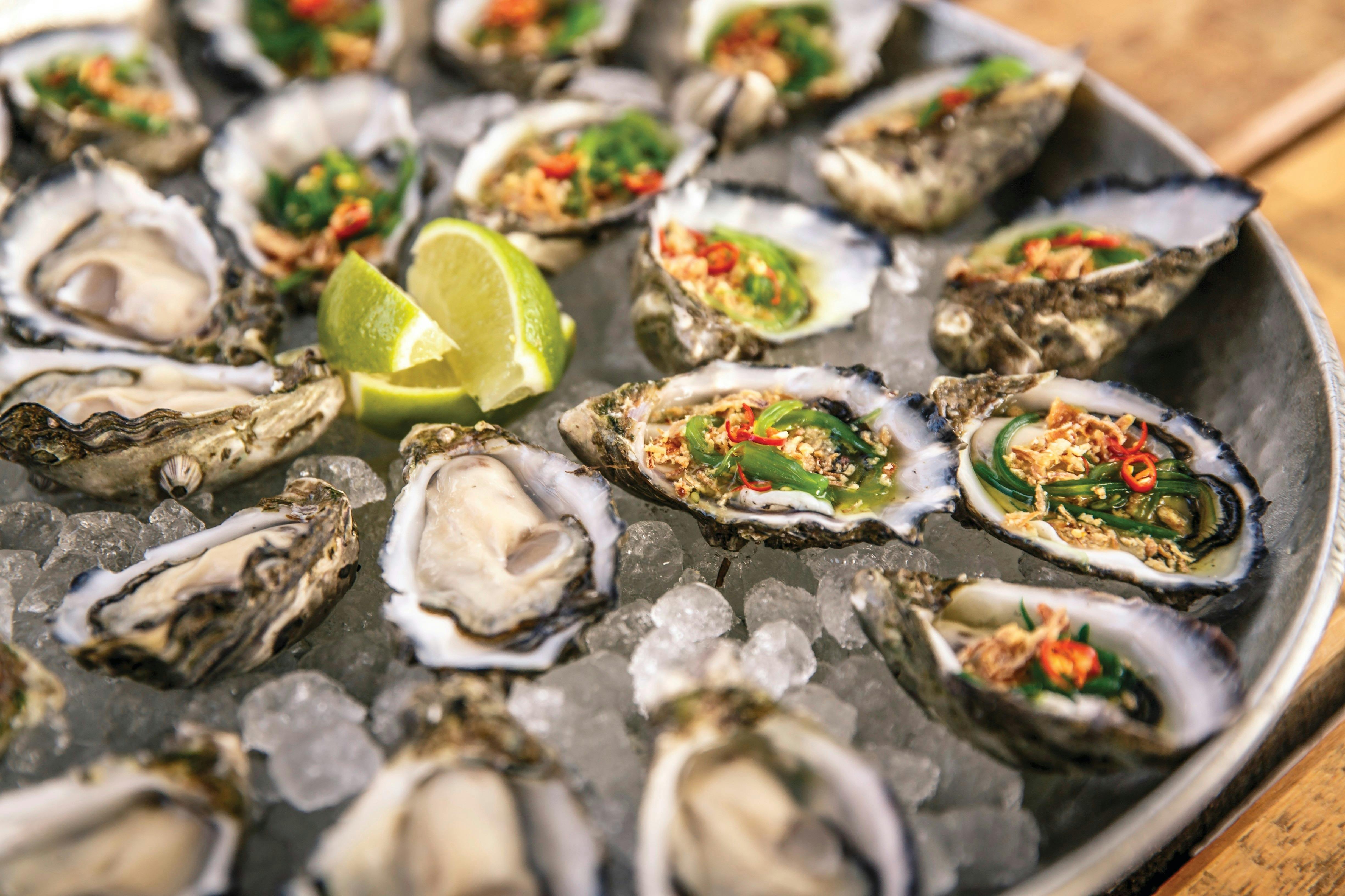 Coffin Bay Oysters epicurean escapes South Australia