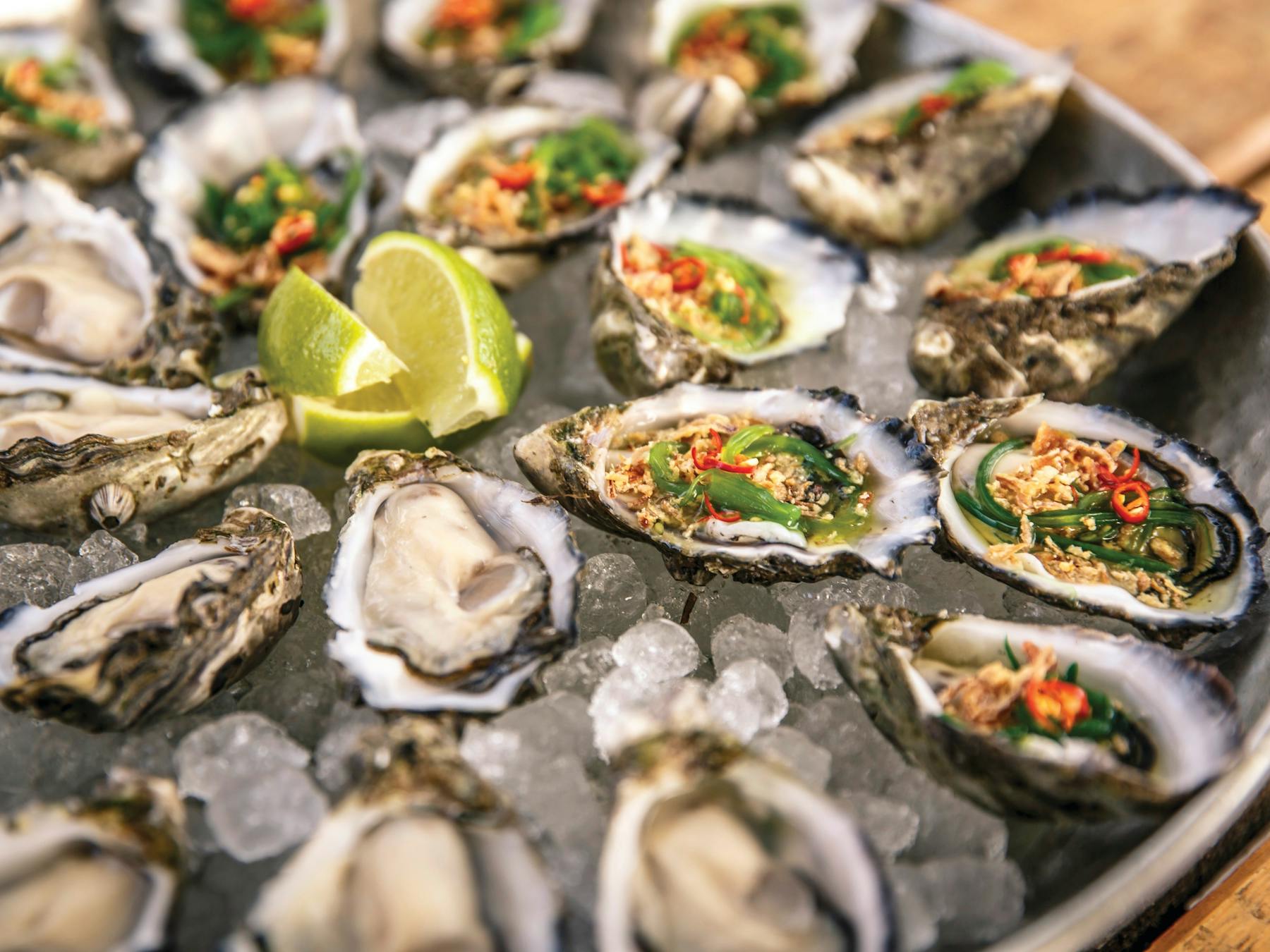 Coffin Bay Oysters epicurean escapes South Australia