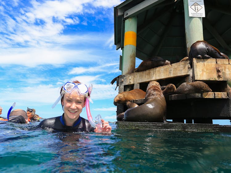 Snorkelling at Chinaman