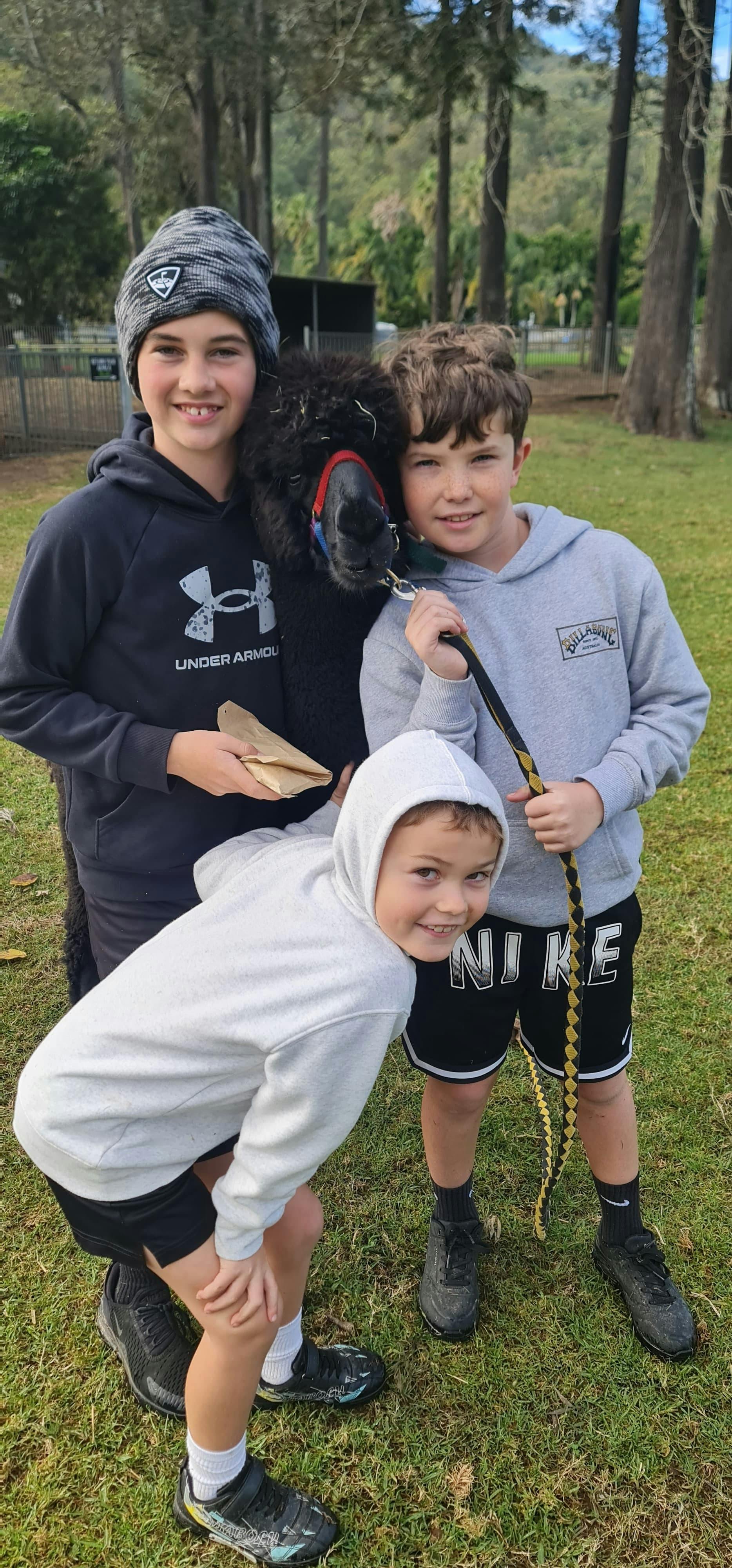 VIP upgrade Brisbane Hot Air Ballooning and O'Reilly's Vineyard Breakfast and Door to Door Transfers