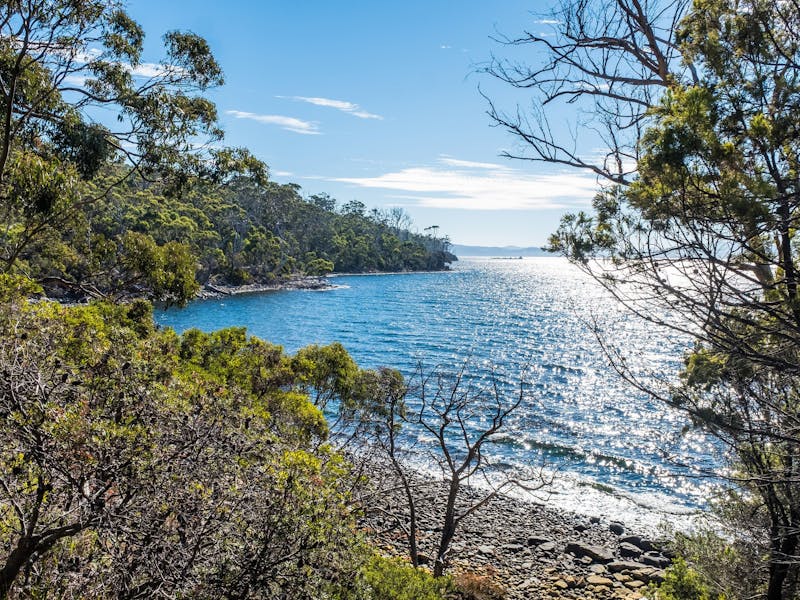 Jetty Beach Camping