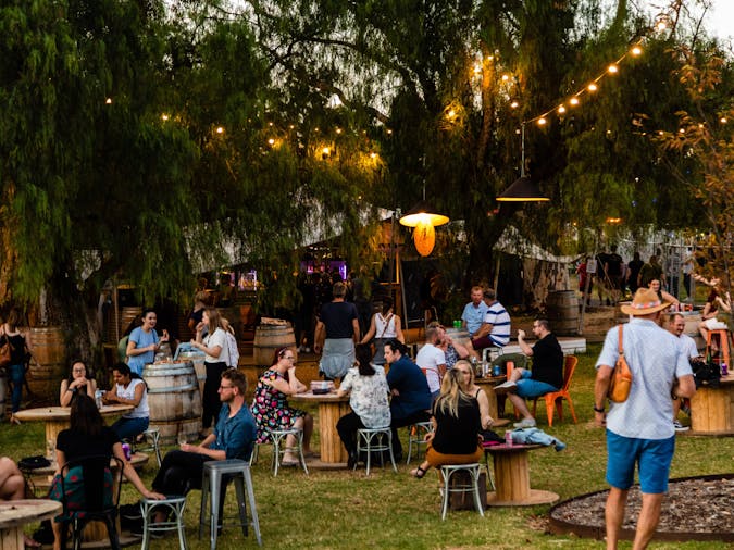 Light Up - New Year's Eve in Rymill Park