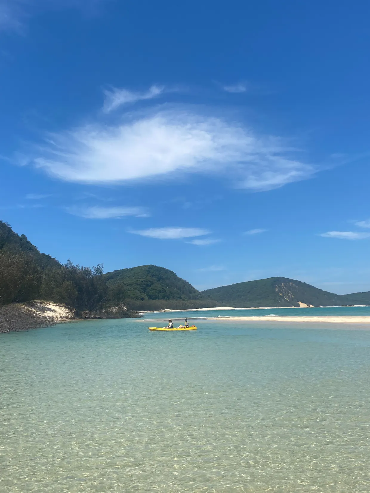 Epic Ocean Adventures Rainbow Beach Dolphin Kayak Tour