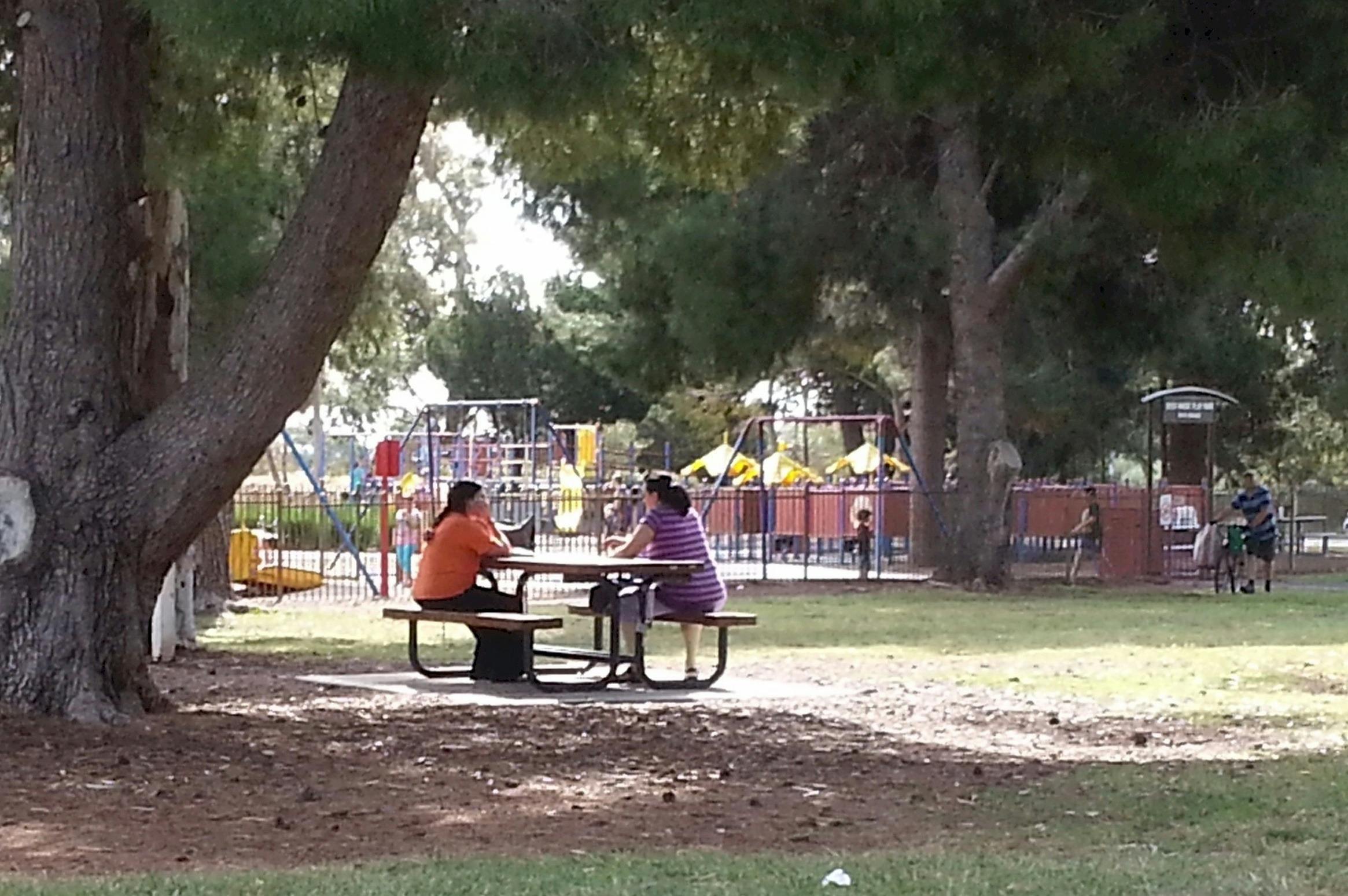 Guided Walk through northern Parks 1 & 2 off Jeffcott Rd