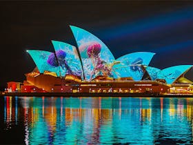 Vivid Sydney - Light, Music and Ideas Cover Image