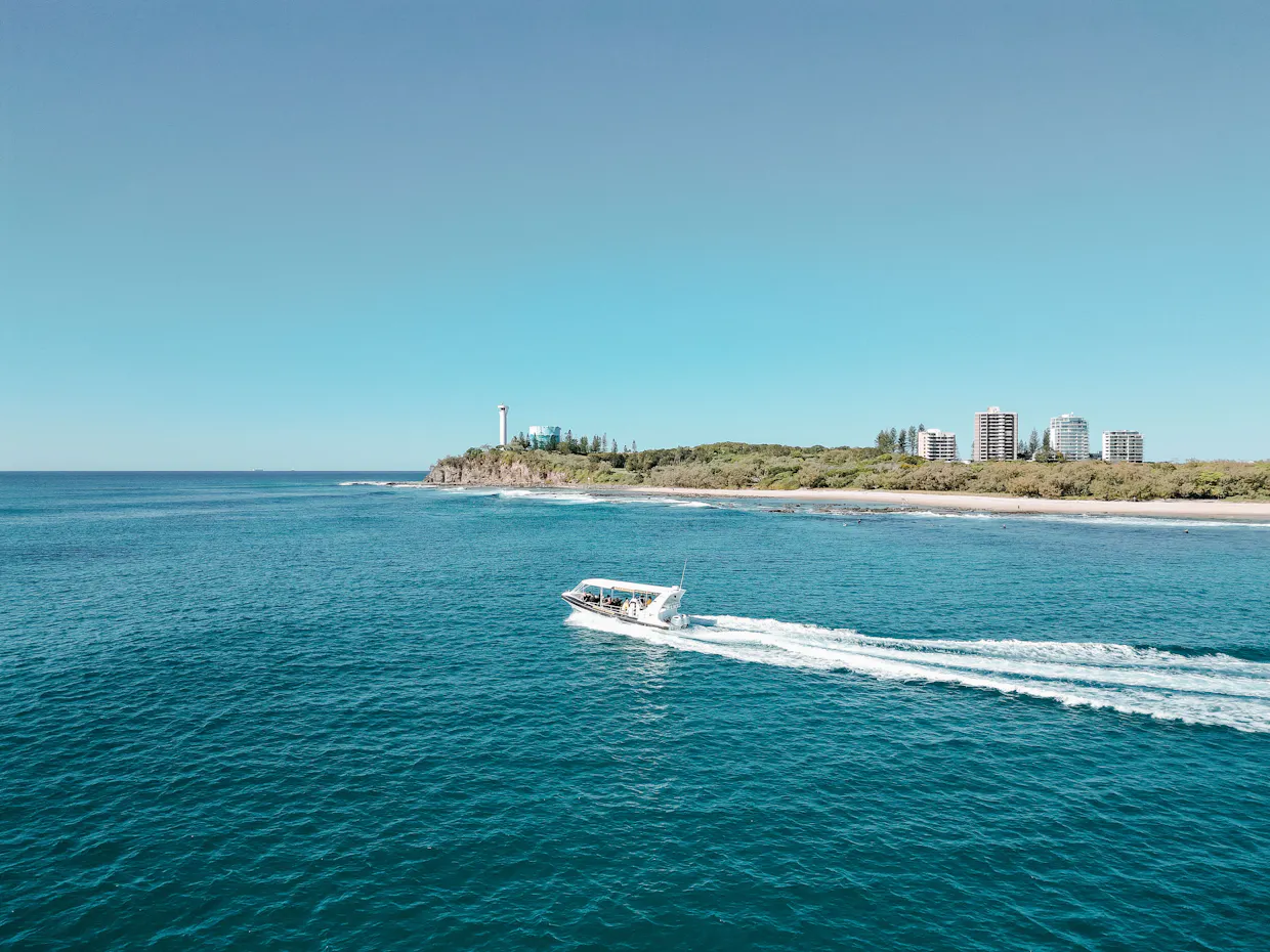 Mooloolaba Whale Watching Experience