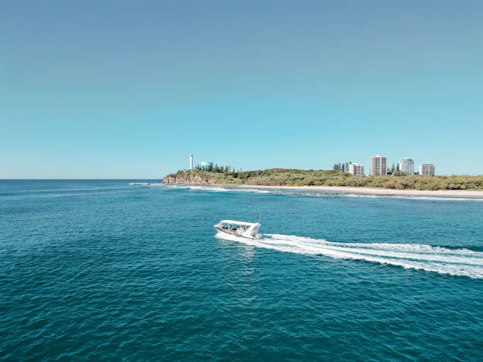 Mooloolaba Whale Watching Experience