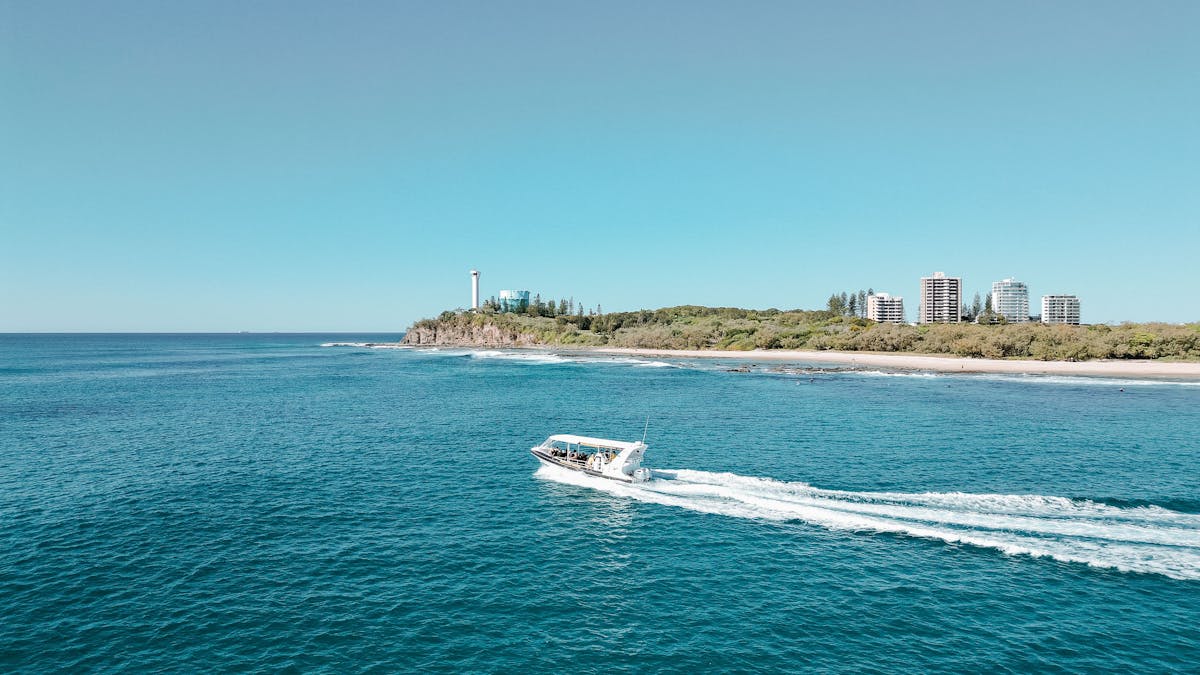 Mooloolaba Whale Watching
