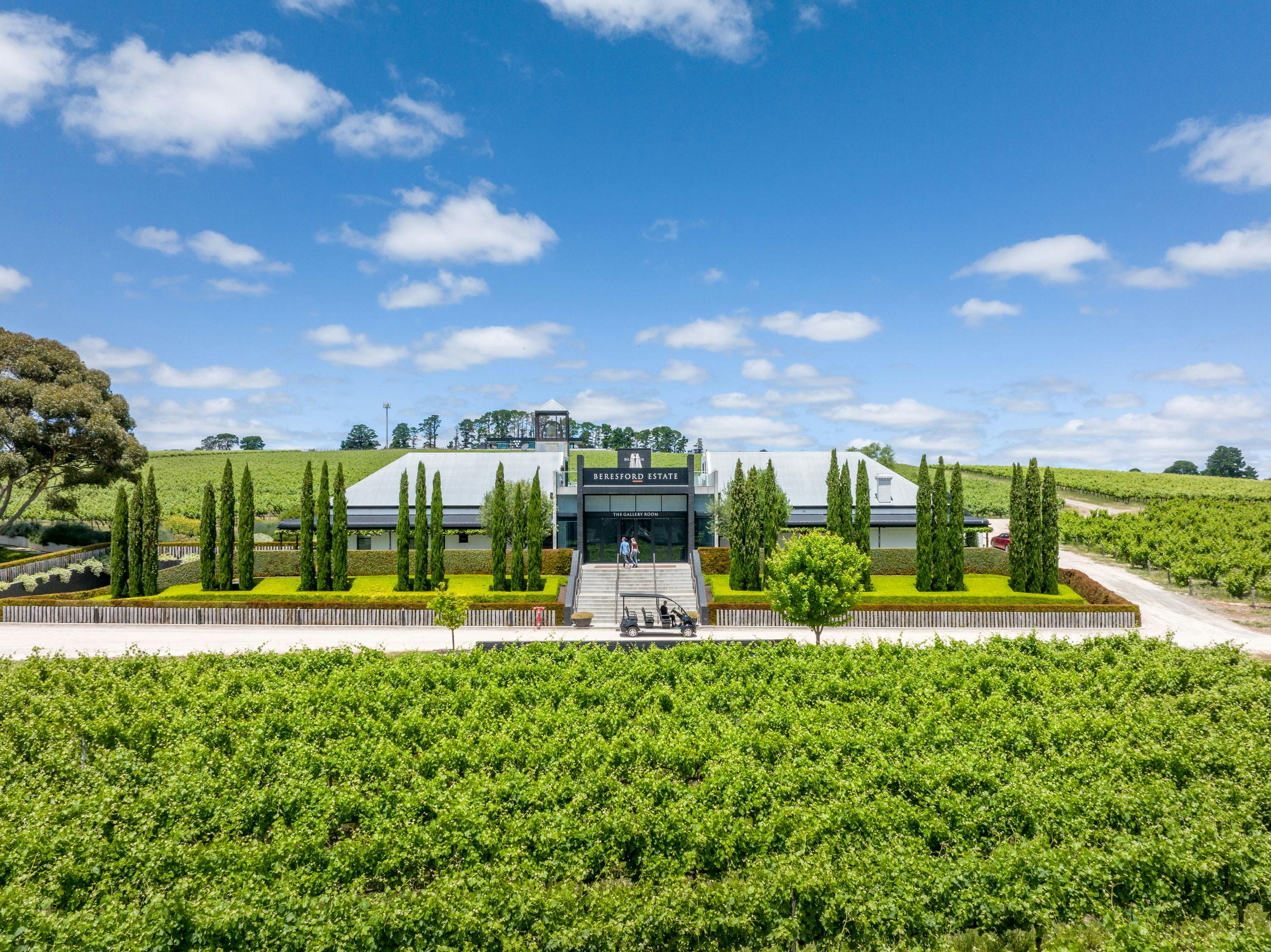 Wine down on Vine