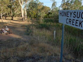 Honeysuckle Creek Walking Track