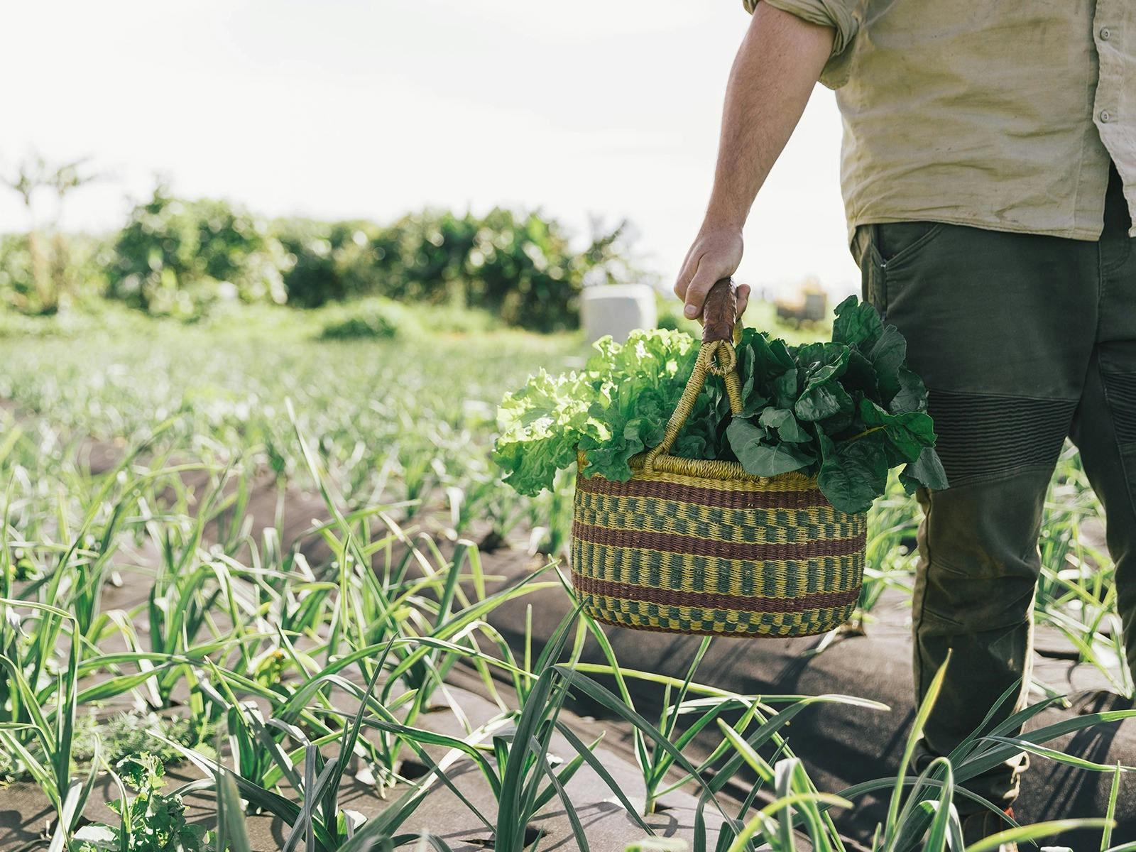 Three Blue Ducks Byron Bay