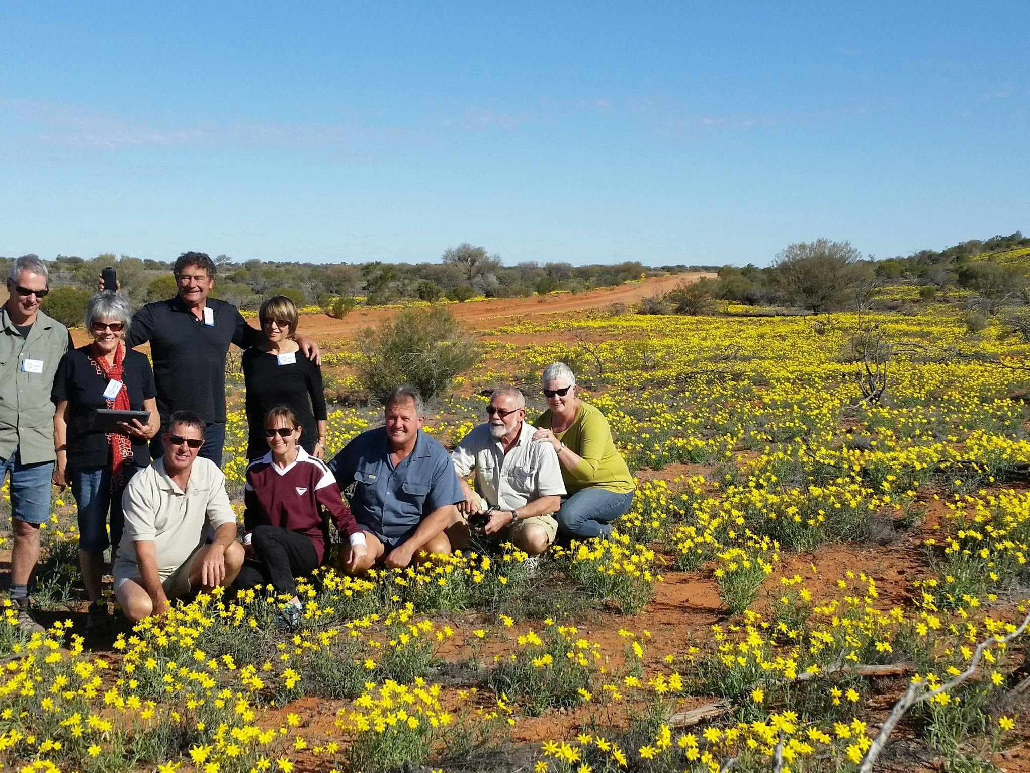 Wildflowers in the outback