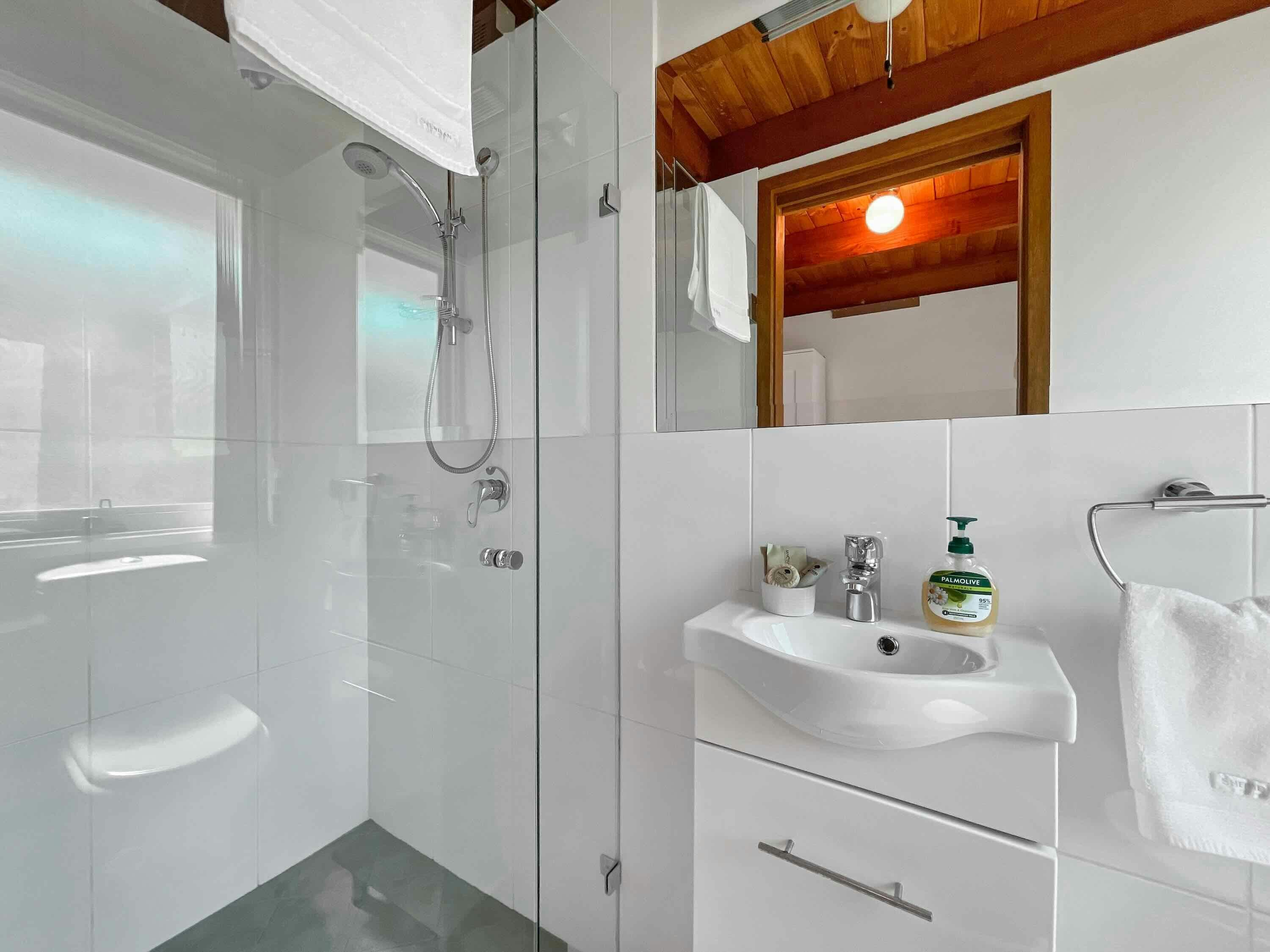 Bathroom with walk-in shower