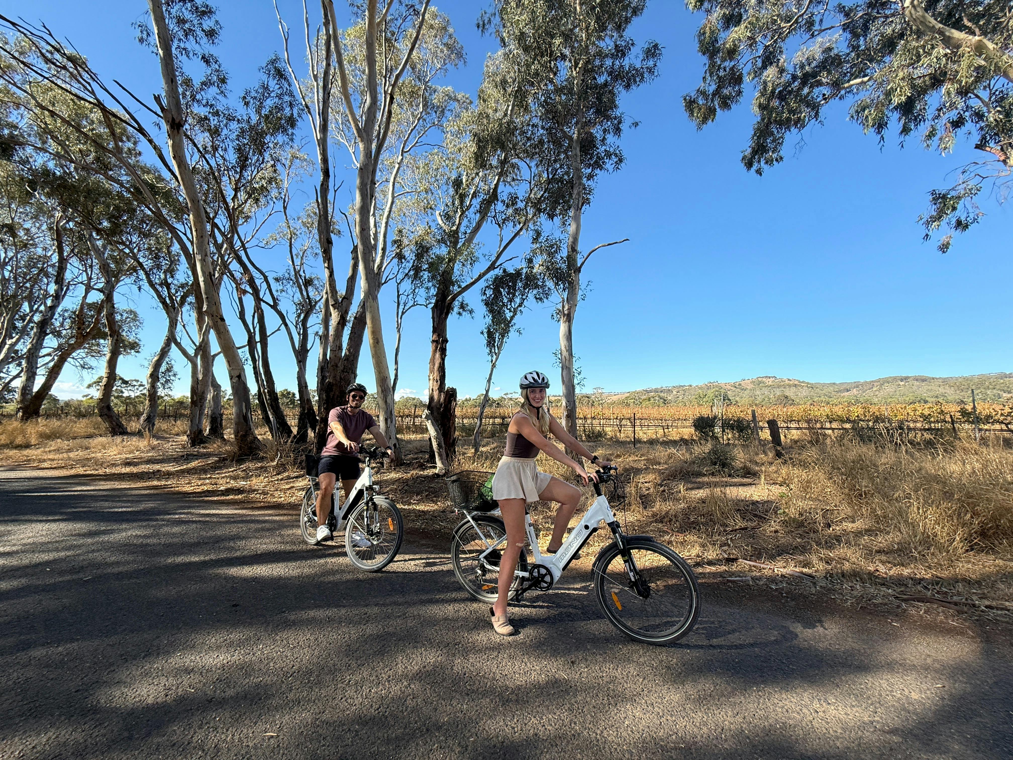 Riding the backroads of McLaren Vale on eBikes