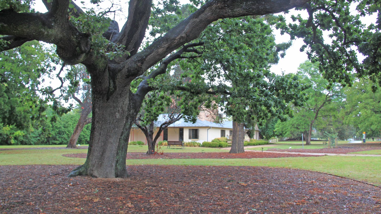 John Macarthur's Hambledon Cottage  Museum