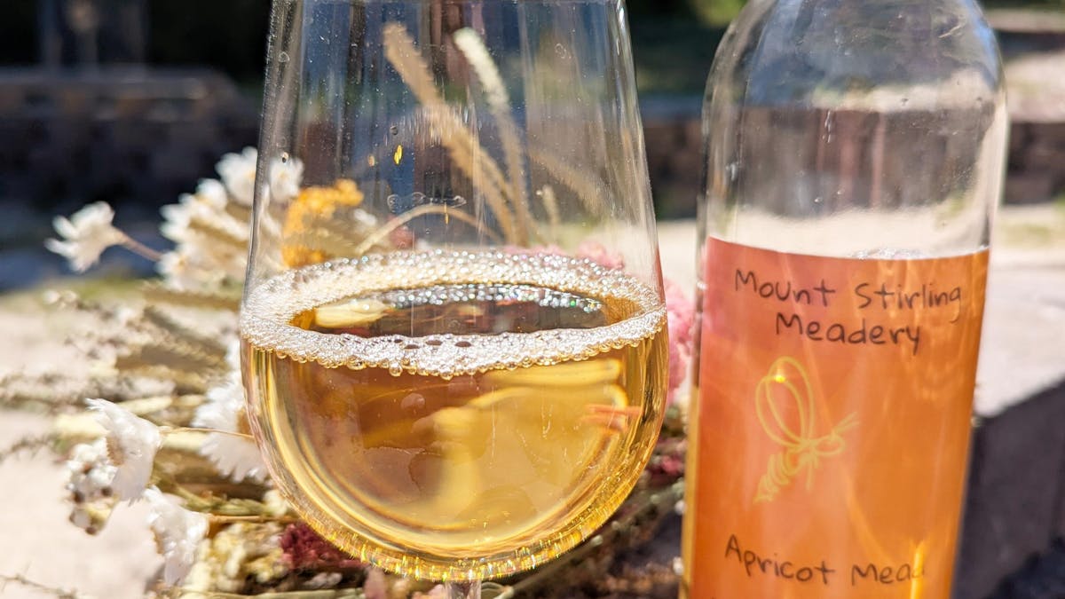 Apricot Mead