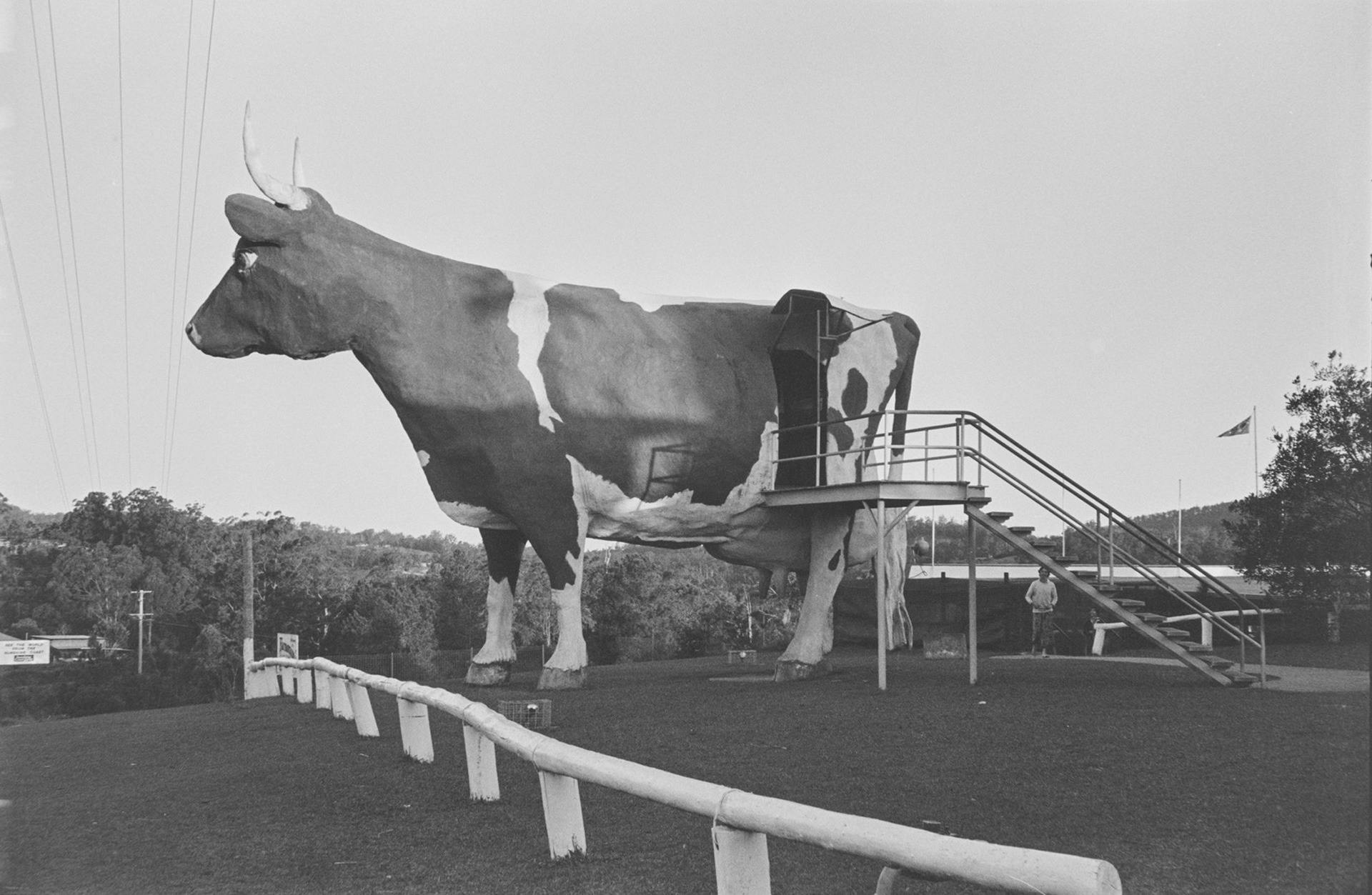 Big cow statue at Kulangoor