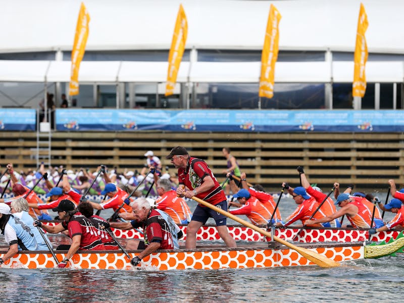 dragon boat racing sydney 2019 sydney lunar festival dragon boat races sydney dragon boat racing sydney 2019 sydney lunar festival dragon boat races sydney
