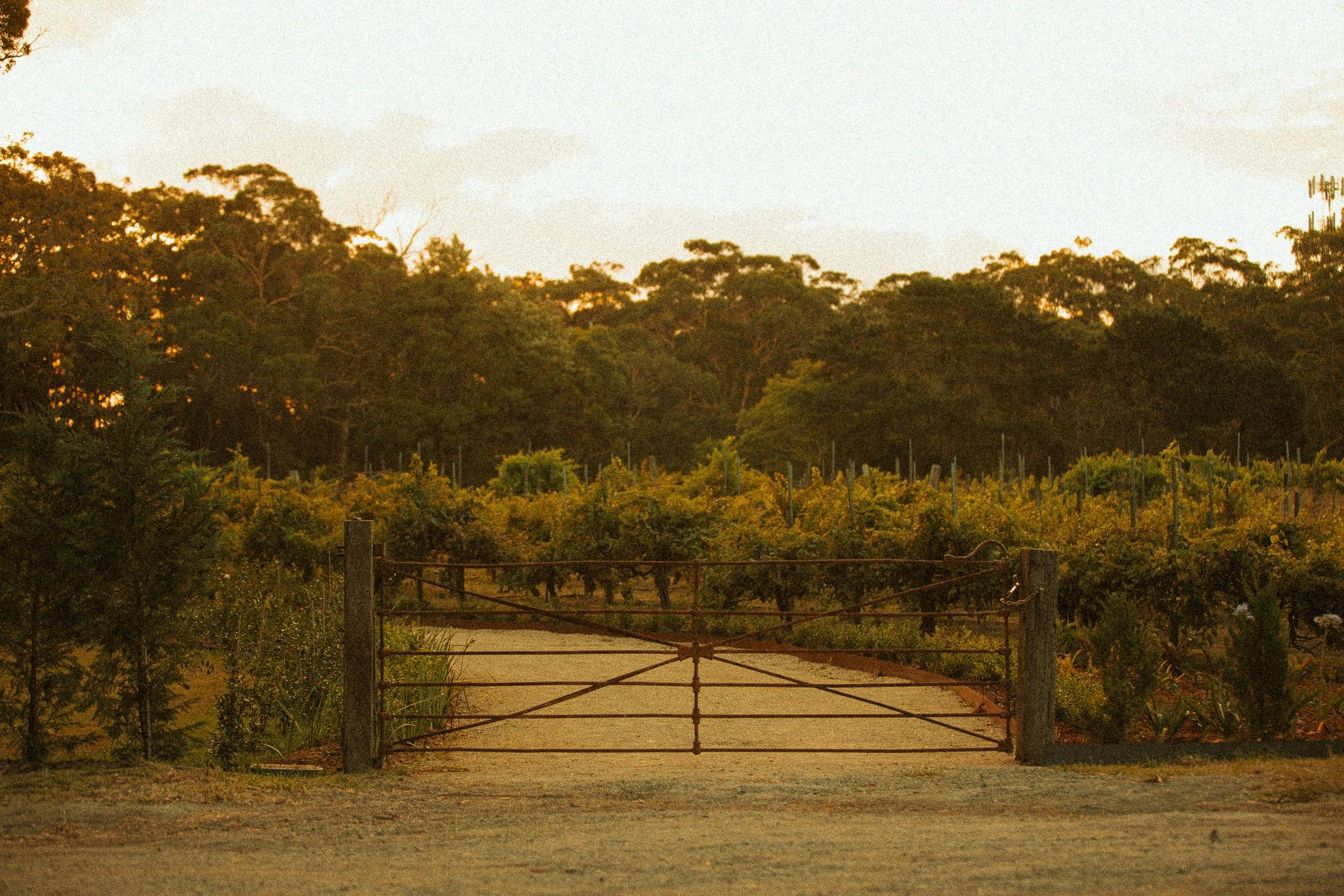 Sally the Skywatcher at B Farm by Murrays