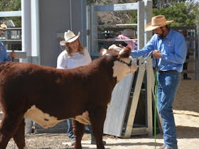Blayney Show