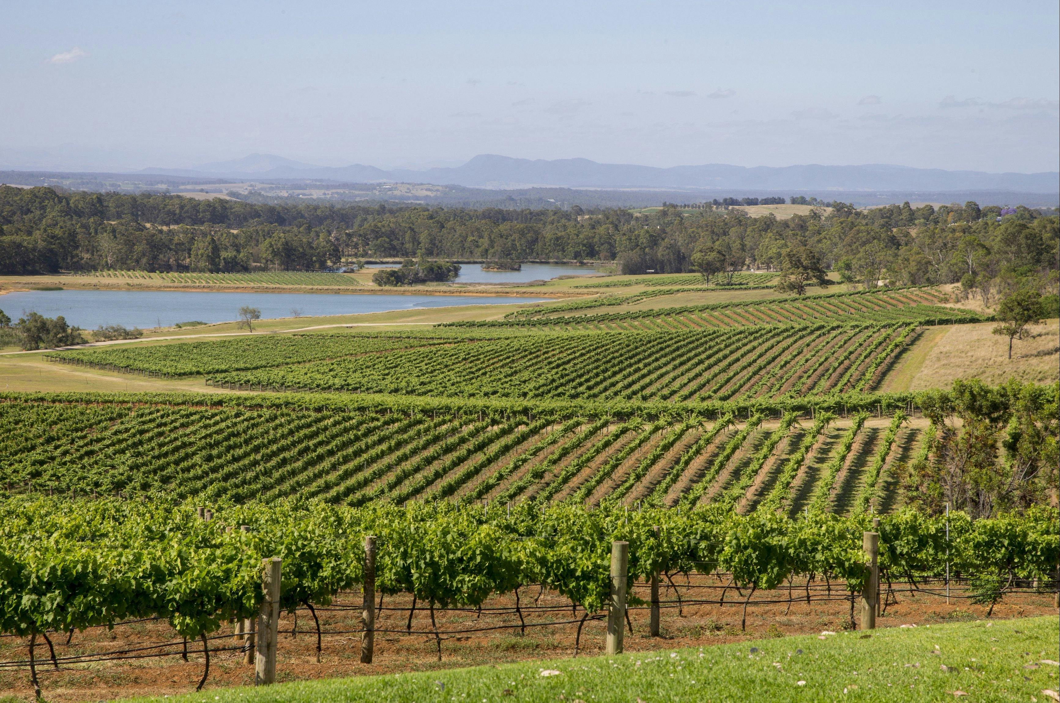 Wildlife Tours, Hunter Valley, Brewhouse, Wineries, Chocolate tastings, wine tasting, scenic views