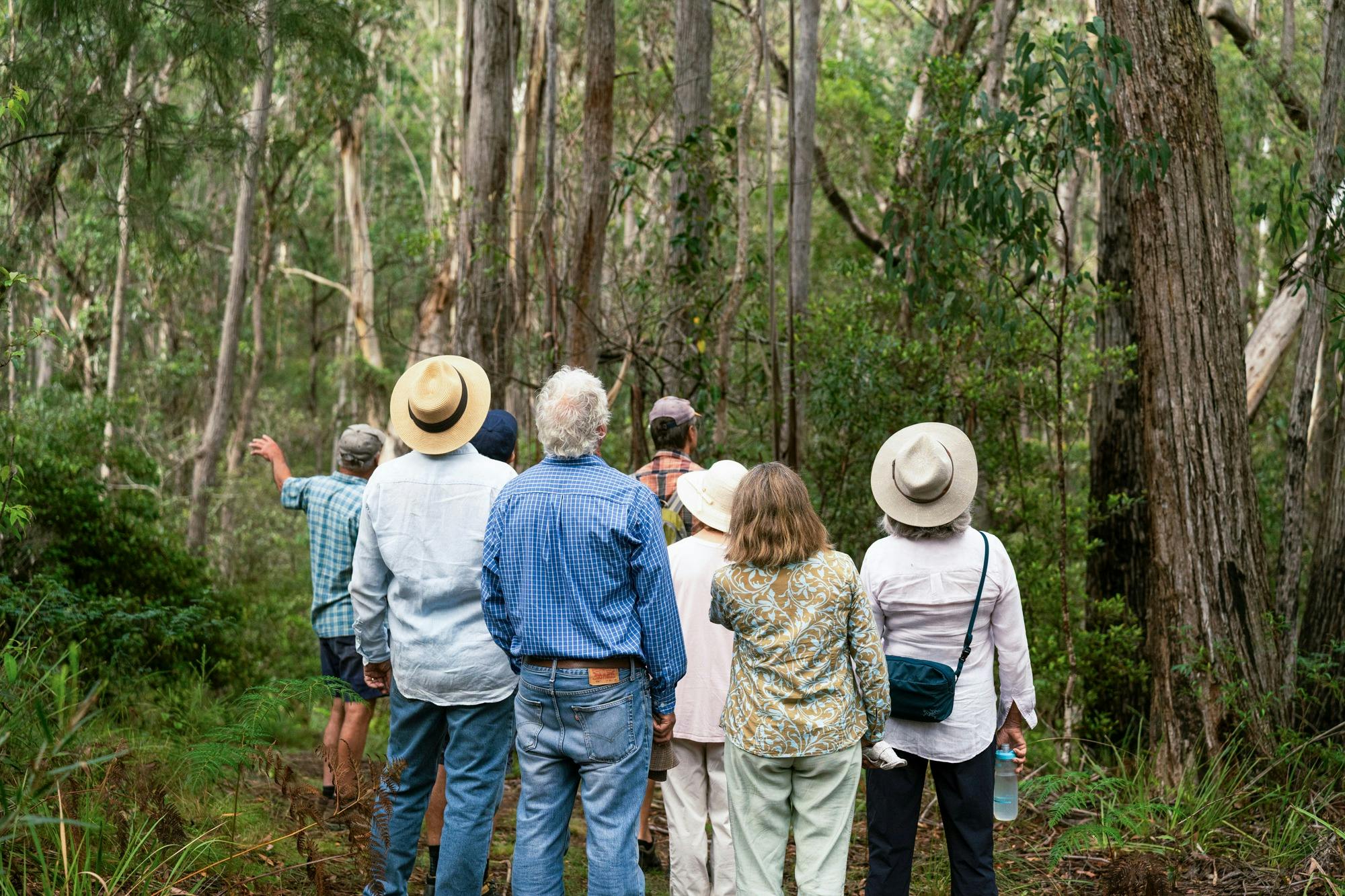 A group of people walking along a dirt trail surrounded by native bushland trees.