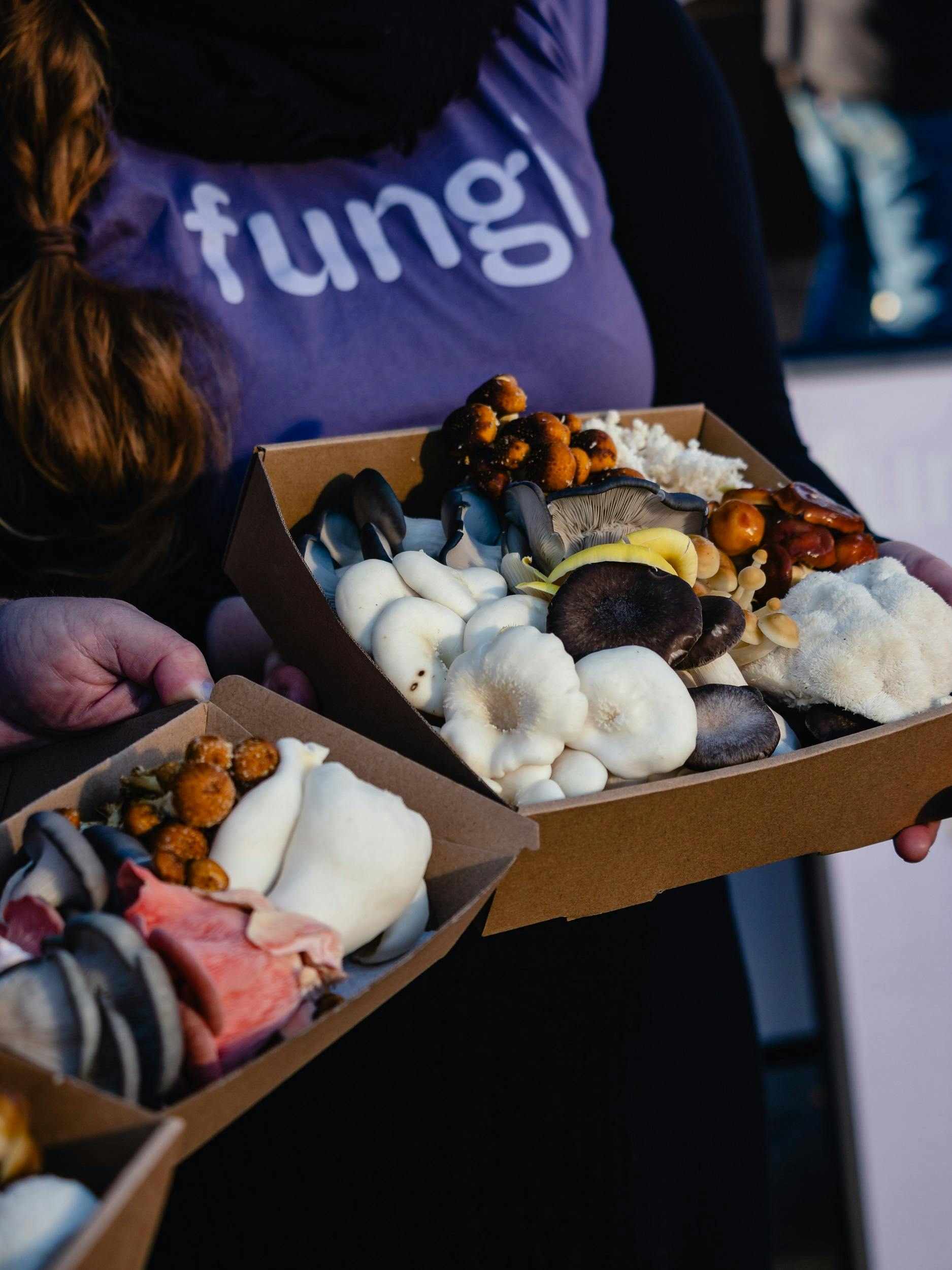 Hands holding boxes of assorted fungi at a market